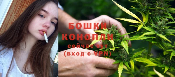 сатива Белоозёрский