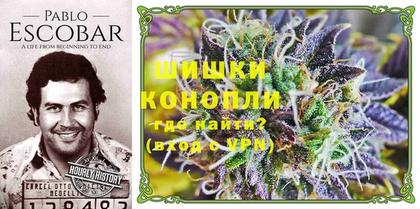 амф Белокуриха