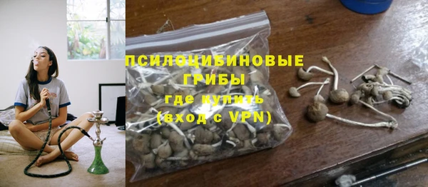 амф Белокуриха