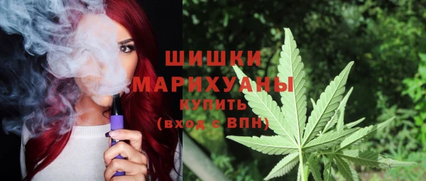 сатива Белоозёрский